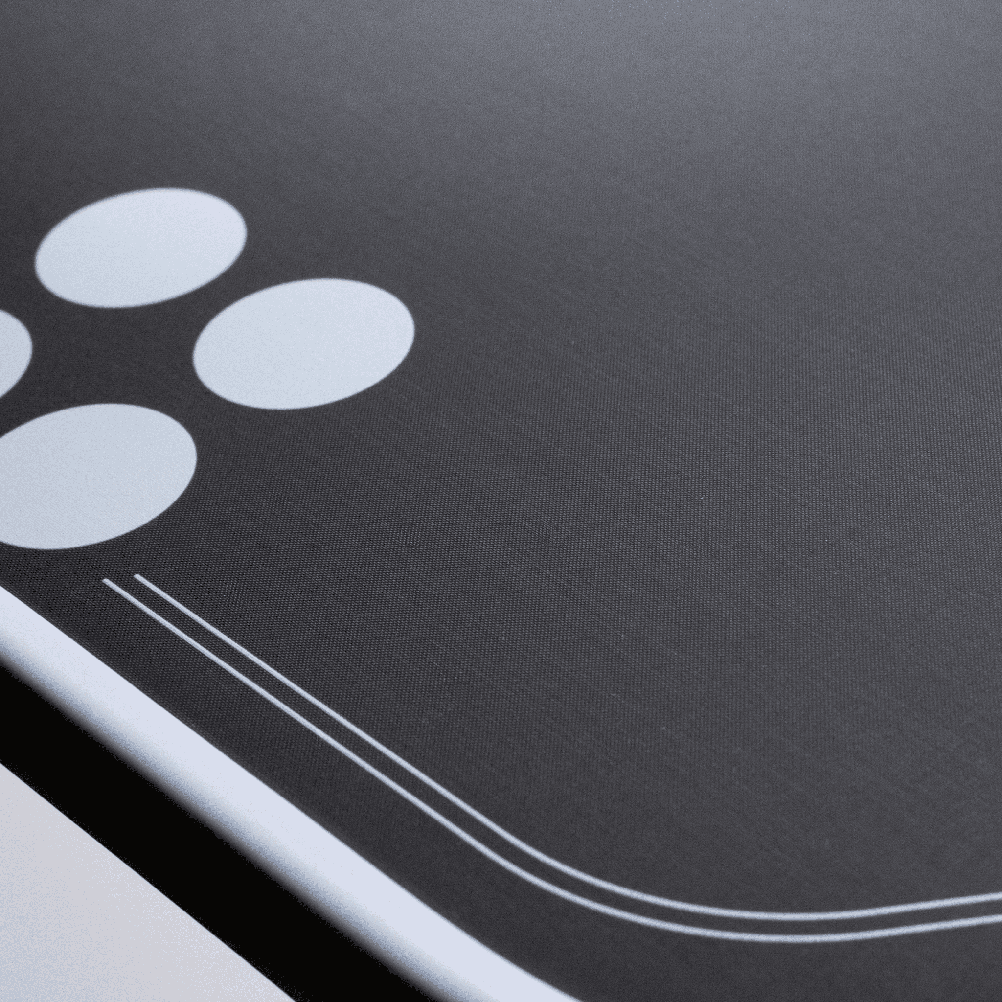 Mav - Holbrook Pickleball