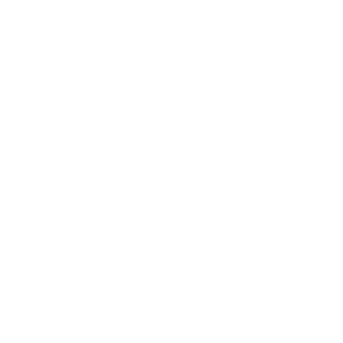 Package Protection Valid in US. - Holbrook Pickleball